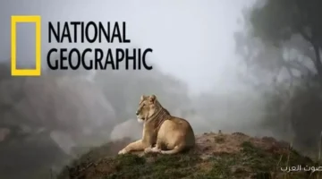 10544061091739731888