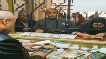 11 مليون مستفيد ينتظرون صرف معاشات ديسمبر 2025 بدءاً من