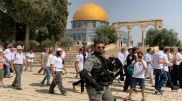 168 مستوطن يقتحموا باحات المسجد الأقصى تحت حماية الاحتلال