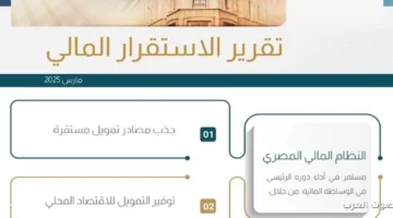 1762258826 البنك المركزي نزل تقرير عن الاستقرار المالي تفاصيل وإنفوجراف