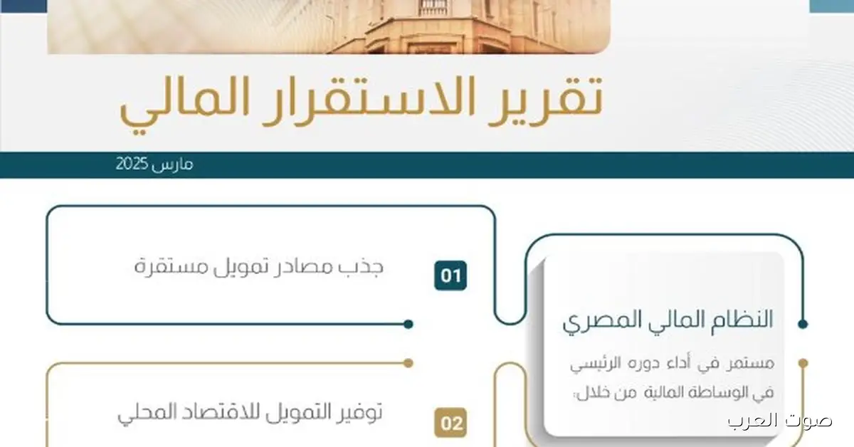 البنك المركزي نزل تقرير عن الاستقرار المالي.. تفاصيل وإنفوجراف