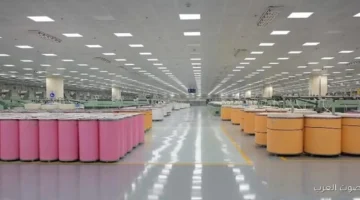 1762457487 وزير قطاع الأعمال يتابع شغل المصانع الجديدة في غزل المحلة