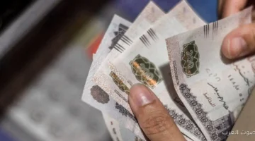 1762544904 إزاي تحصل على منحة للعمالة غير المنتظمة