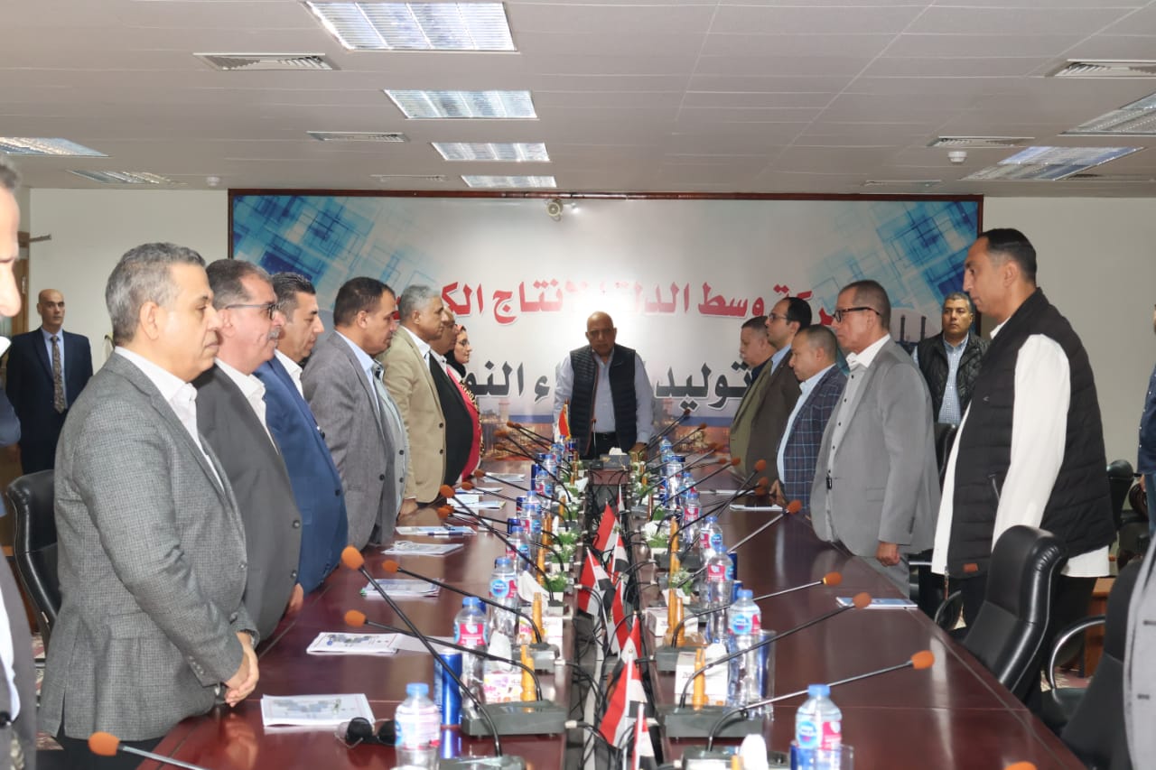 محطة توليد كهرباء النوبارية