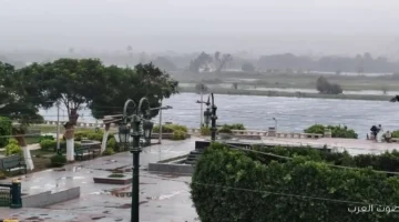 1762621456 الطقس بكرة الأرصاد بتحذر من شبورة وأمطار في شوية مناطق