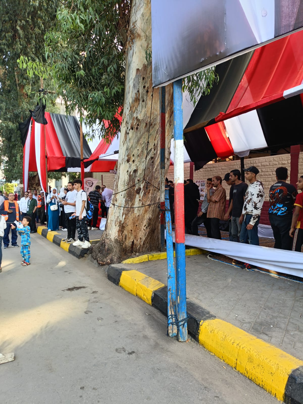 1762850195 766 إقبال متوسط من الشباب في انتخابات مجلس النواب بالجيزة شوف