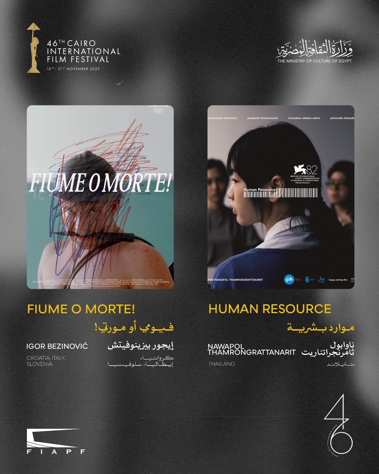 مهرجان القاهرة السينمائي