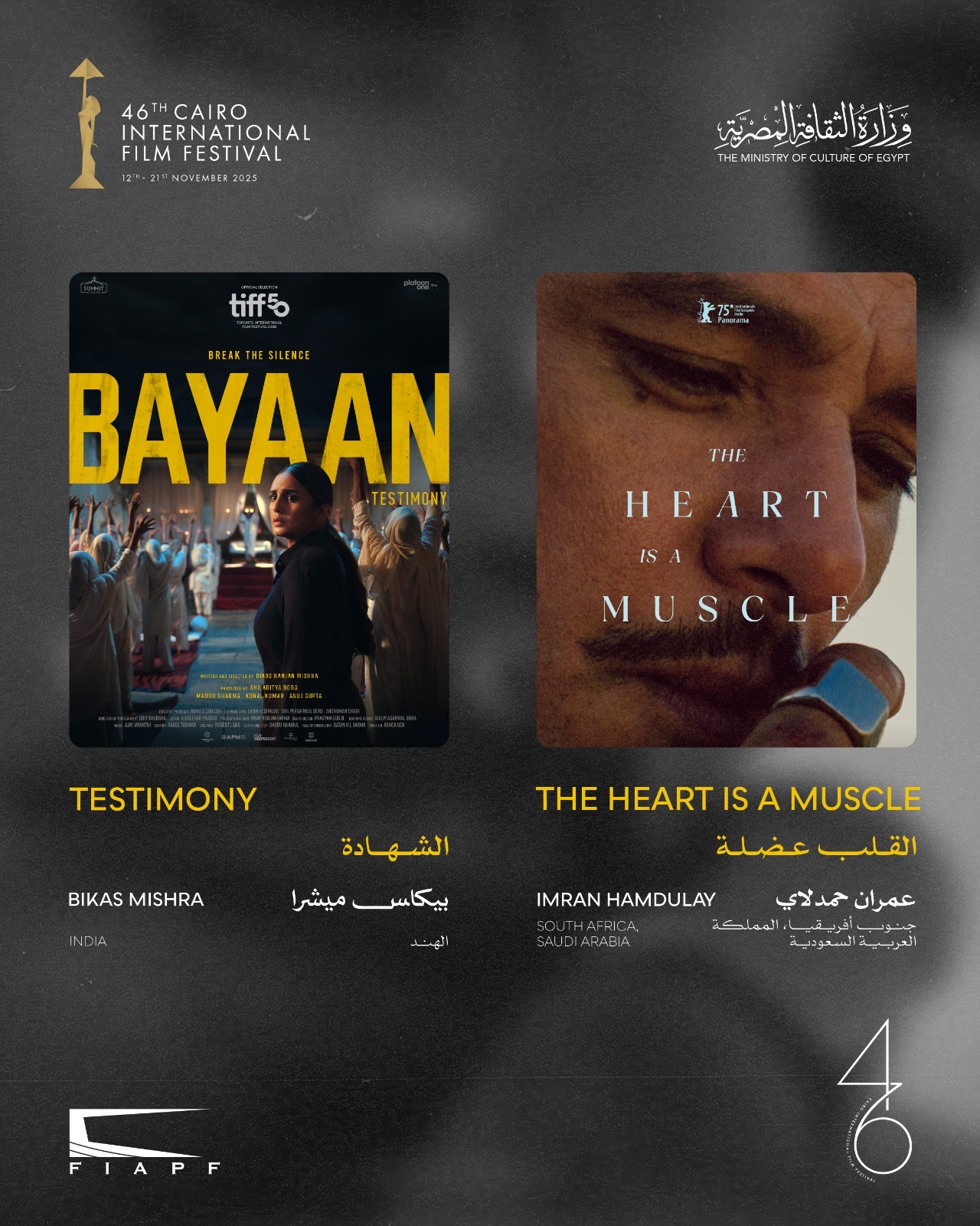 مهرجان القاهرة السينمائي