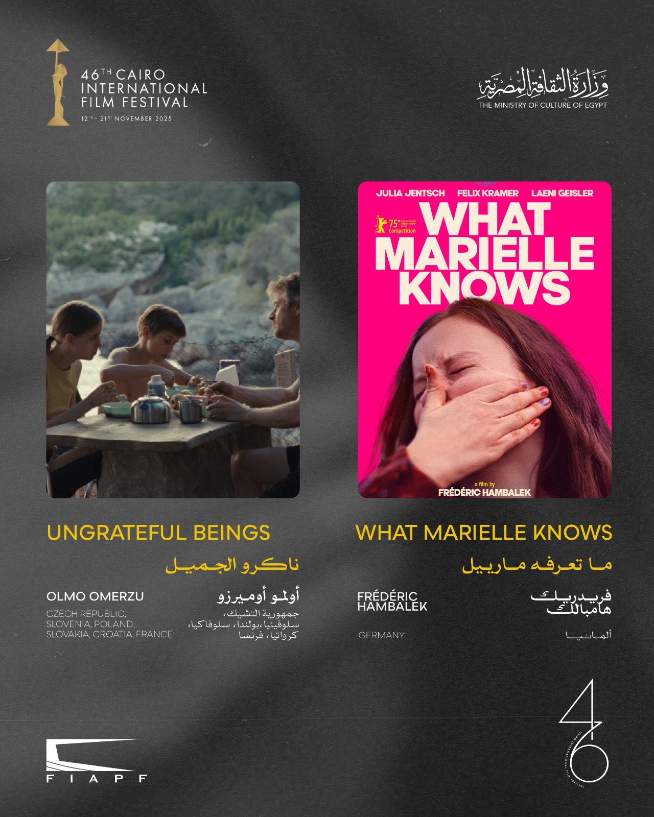 مهرجان القاهرة السينمائي