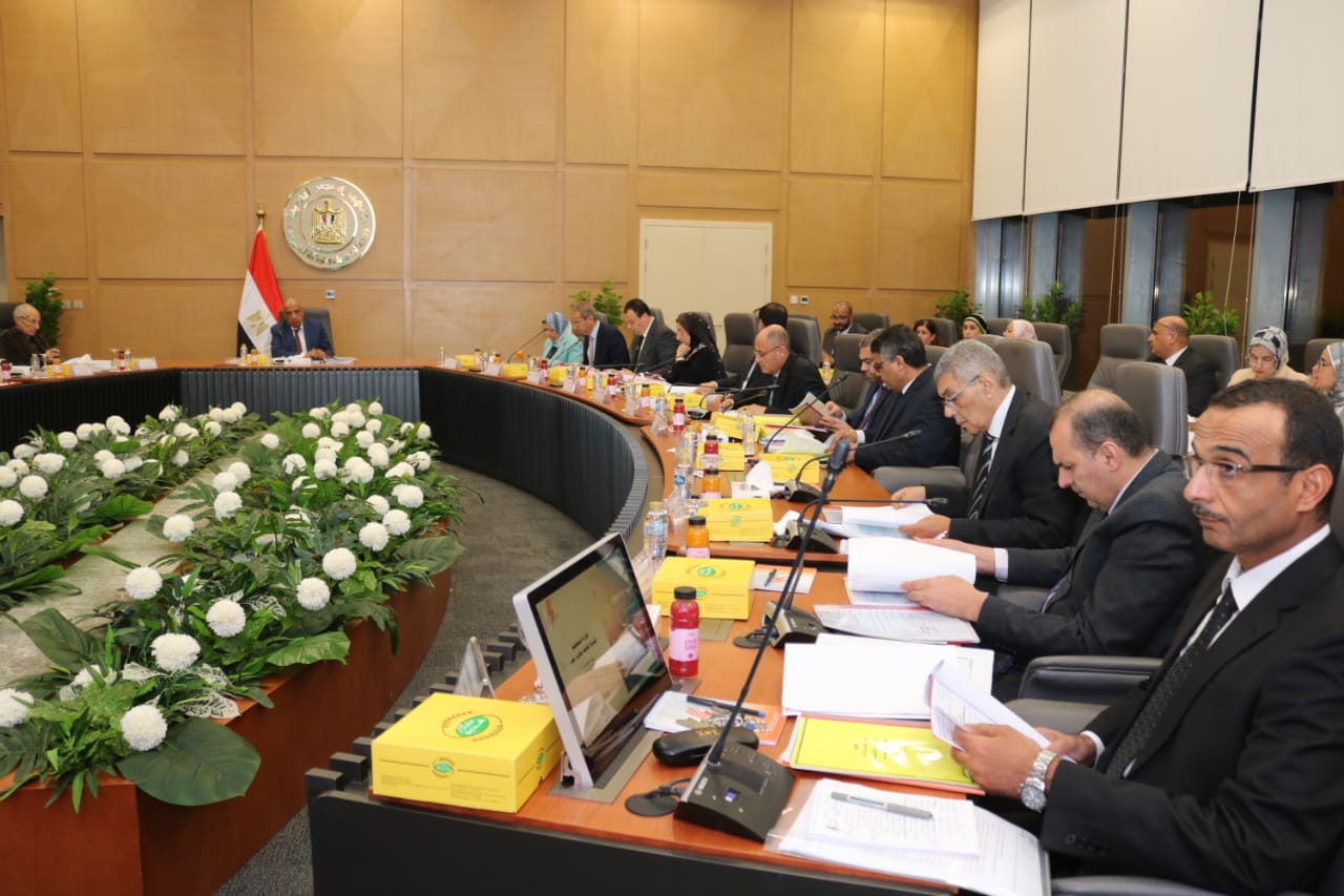 وزير الكهرباء