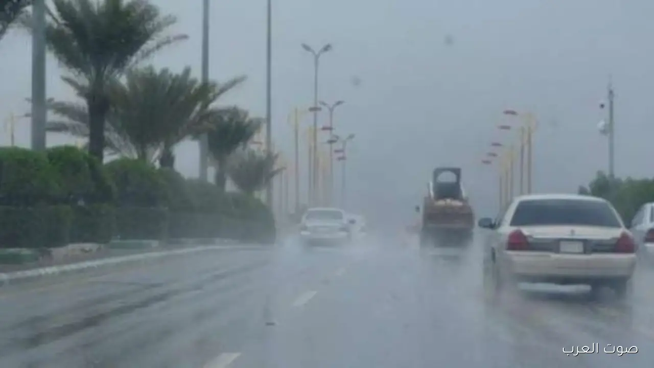 1762970689 الطقس بكرة الأرصاد بتنبه من أمطار قوية في المناطق دي