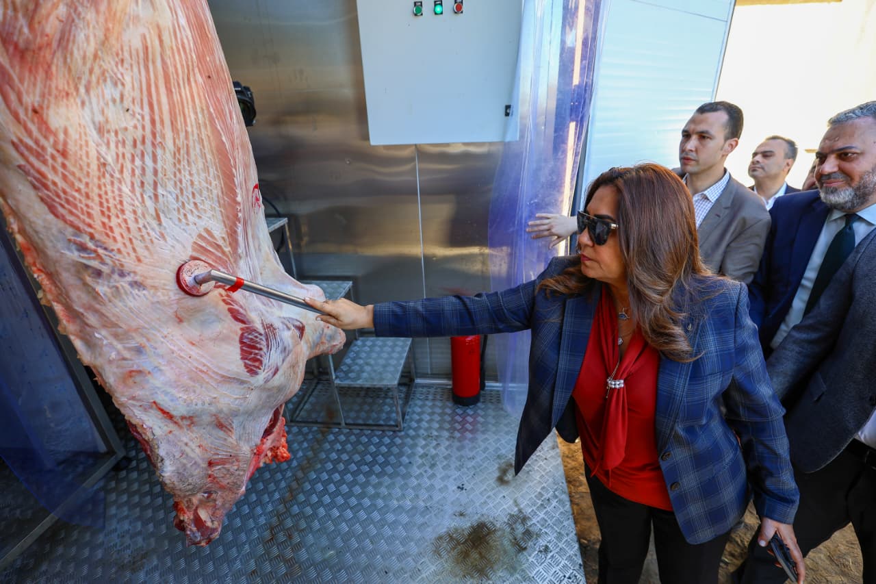 1763202446 596 افتتاح أول مجزر متنقل في مصر من صنع محلي بالكامل