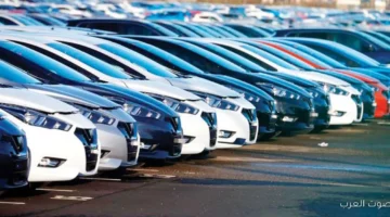 1763215459 بعد ما اتعتمدت التعديلات الجديدة تعرف على كيفية استيراد سيارة