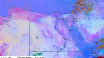 1763238710 الأرصاد بتحذر سكان القاهرة الكبرى وشمال الصعيد من حالة جوية