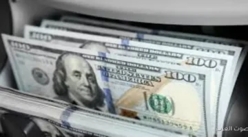 1763318091 سعر الدولار ثابت قدام الجنيه في البنوك المصرية النهارده الأحد