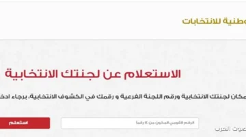 1763415281 إزاي تعرف لجنتك الانتخابية ومكان التصويت بتاعك