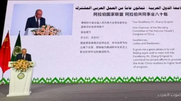 1763468240 أبو الغيط جامعة الدول العربية دايمًا حاضنة وبتعبر عن هويتنا