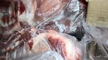 1763481731 ضربة قوية من الرقابة ضبط 74 طن لحوم صالحة للأكل