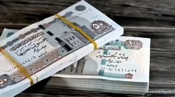1763487212 المنحة الخاصة لأصحاب المعاشات ومتى هيكون صرف معاش ديسمبر