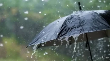 1763502391 موجة حر في نوفمبر أمتى هتبدأ الأمطار في مصر؟