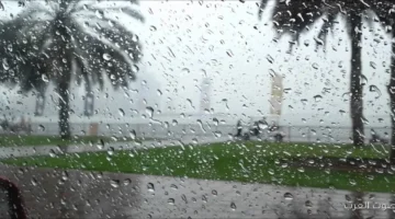 1763565104 أمطار في شوية مناطق الأرصاد بتكشف عن مفاجآت في الطقس