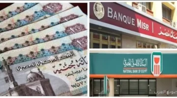 1763584292 قبل قرار البنك المركزي بكرة تعرف على شهادات البنك الأهلي