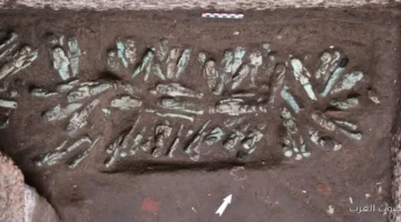 1763638359 اكتشاف 225 تمثال أوشابتي للملك شوشنق الثالث في منطقة صان