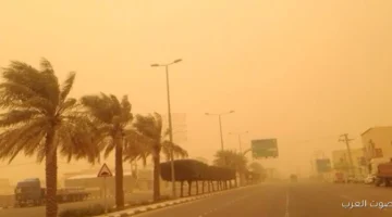 1763662882 الجو بكرة الأرصاد تحذر من رياح هتجيب رمال وأتربة