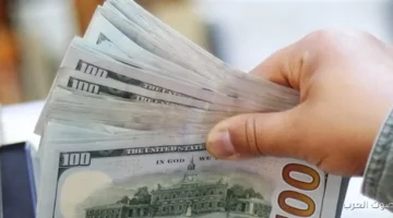 1763679746 أسعار الدولار النهاردة 20 11 2025 أقل من أي وقت مضى