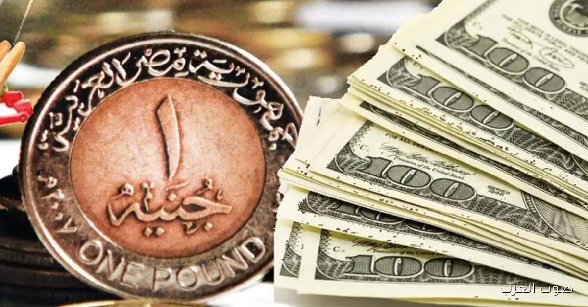 أعلى سعر للدولار النهارده 21-11-2025