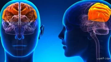 1763713649 أول مرة في مصر إجراء عملية غلق شرايين الأم الجافية