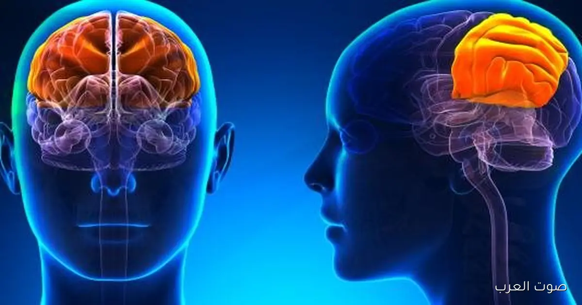 أول مرة في مصر.. إجراء عملية غلق شرايين الأم الجافية باستخدام القسطرة المخية