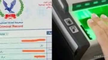 1763720074 لو ناوي تقدم على شغل إزاي تستخرج الفيش الجنائي 2025