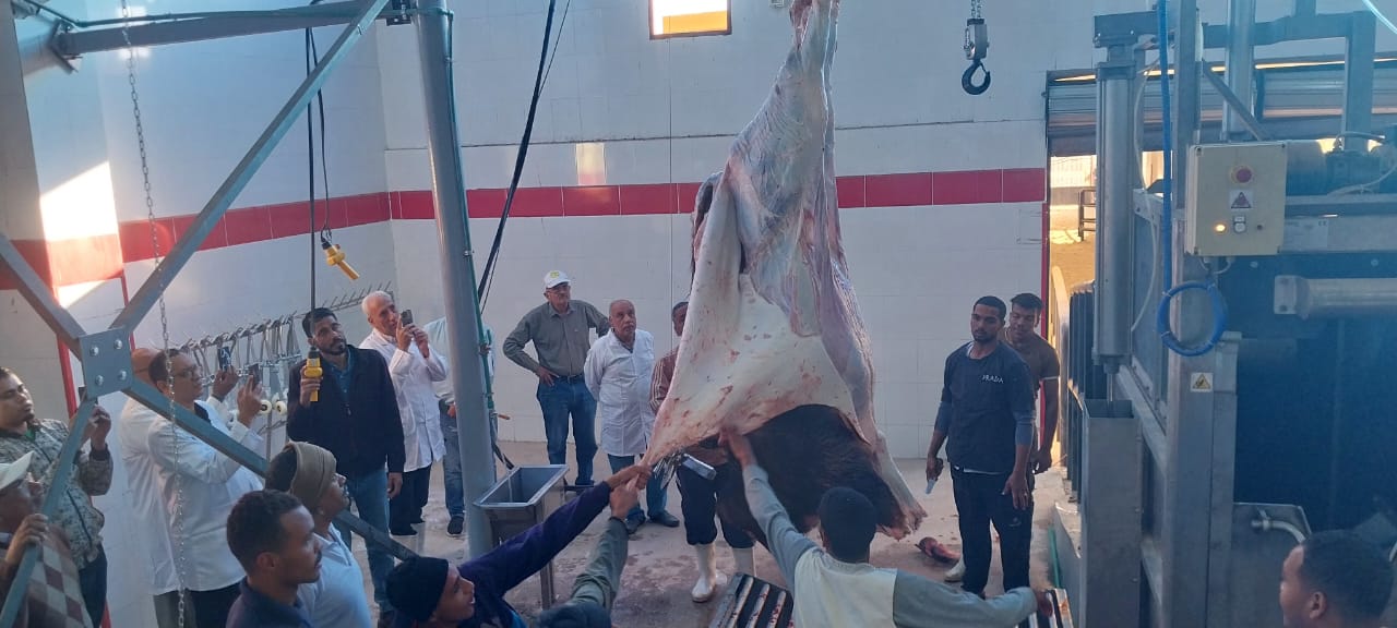 1763733639 405 تشغيل تجريبي لمجازر الحبيل والهو في الأقصر وقنا بتكلفة 60