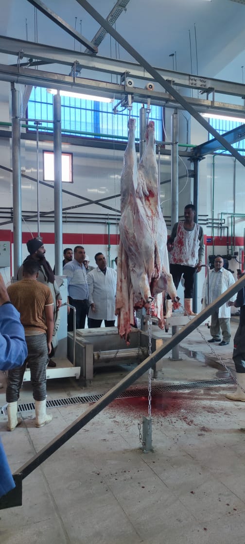 1763733639 667 تشغيل تجريبي لمجازر الحبيل والهو في الأقصر وقنا بتكلفة 60