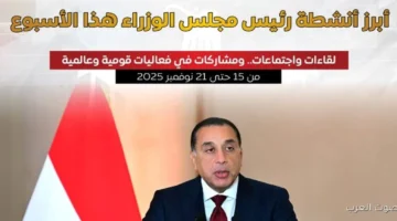 1763740020 بالإنفوجراف أهم أنشطة رئيس الوزراء في الأسبوع الماضي