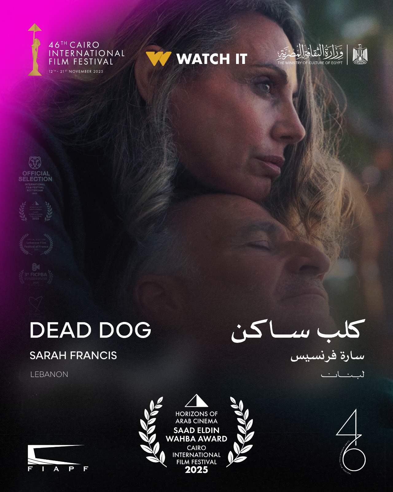 كلب ساكن يحقق جائزة أفضل فيلم في مهرجان القاهرة لآفاق السينما العربية 6 صورة من المهرجان