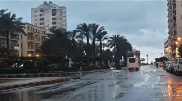 1763827768 الجو بكرة الأرصاد بتحذر من أمطار في كذا منطقة وشبورة