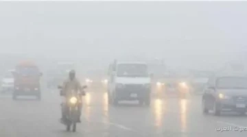 1763833099 خلي بالك منتصف الليل هيكون في شبورة ضبابية على الطرق