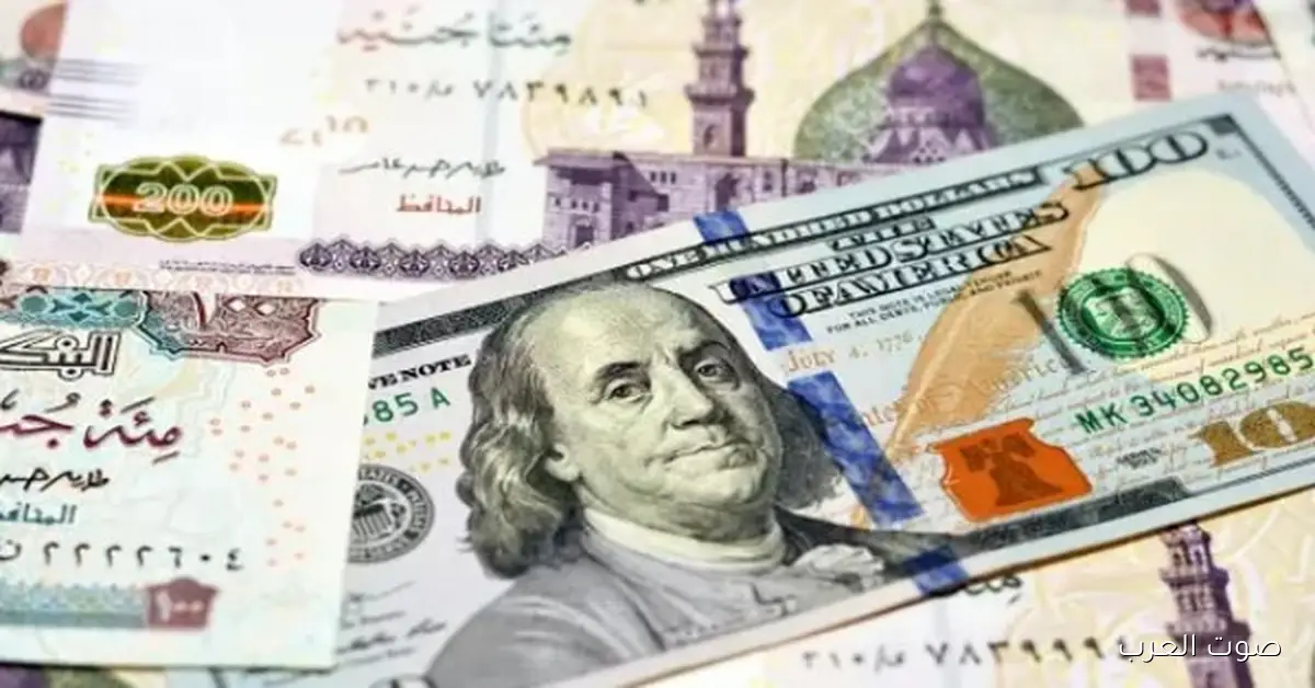 متوسط سعر الدولار في مصر النهارده 2 متوسط سعر الدولار في مصر النهارده