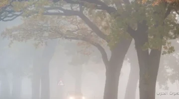 1763838164 الأرصاد بتحذر سكان القاهرة والمناطق المجاورة من حالة جوية جديدة