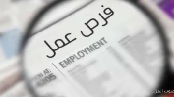 1763890101 وظائف متاحة برواتب توصل لـ 12 ألف جنيه