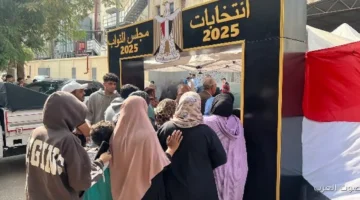 1763982343 كبار السن في المعادي بيتوافدوا بشكل كبير على لجان انتخابات