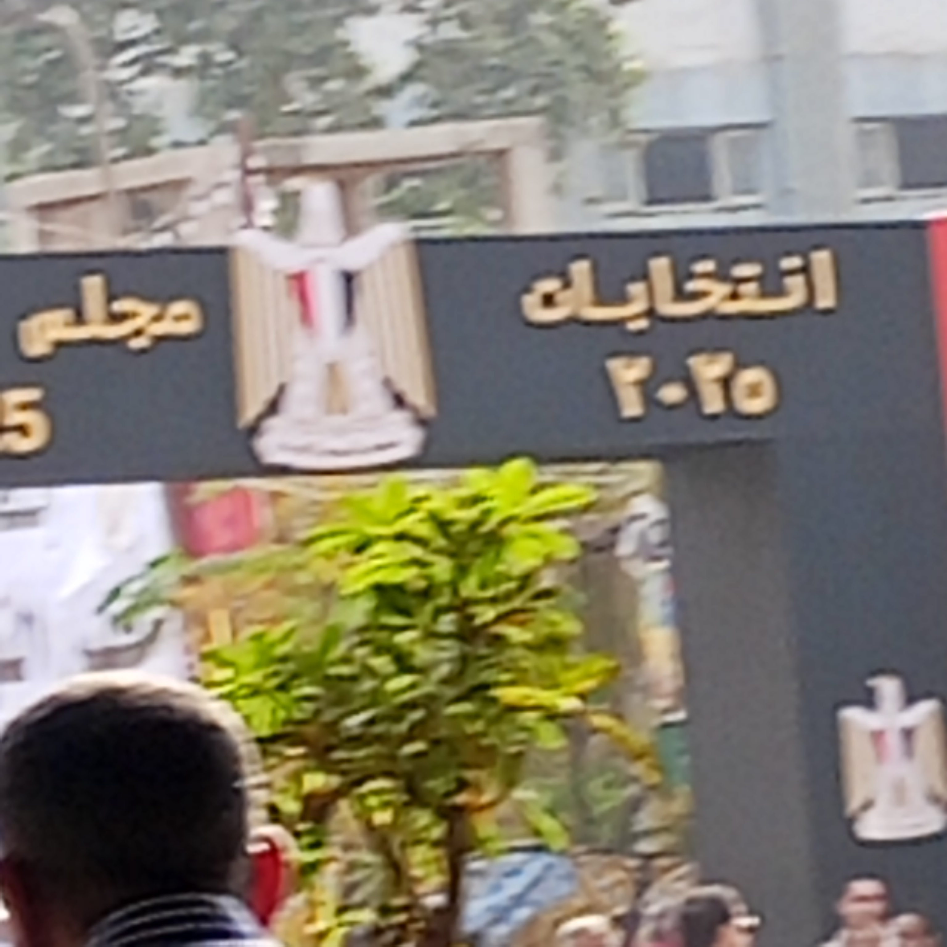 ناخبون في اللجان