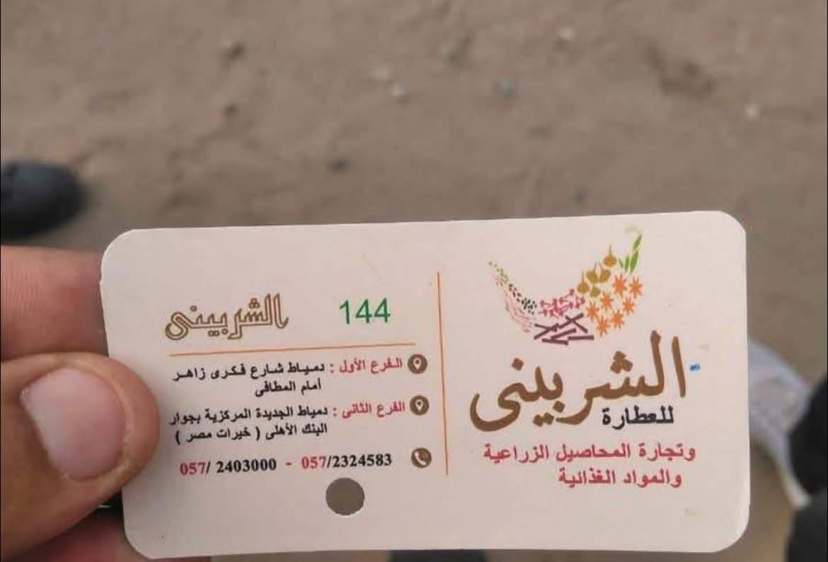 1763998146 335 كوبونات شراء المنظمة المصرية تكشف عن مخالفات في الانتخابات بدمياط