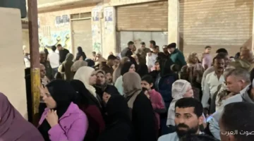 1764004222 زحمة كبيرة من الناخبين قدام لجان الانتخابات البرلمانية 2025 في