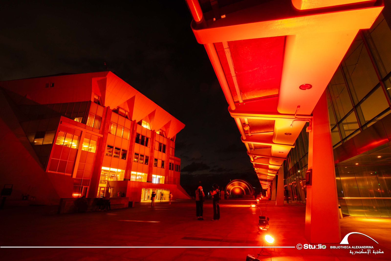 1764006638 89 مكتبة الإسكندرية تبدأ فعاليات حملة 16 يوم لمواجهة العنف ضد