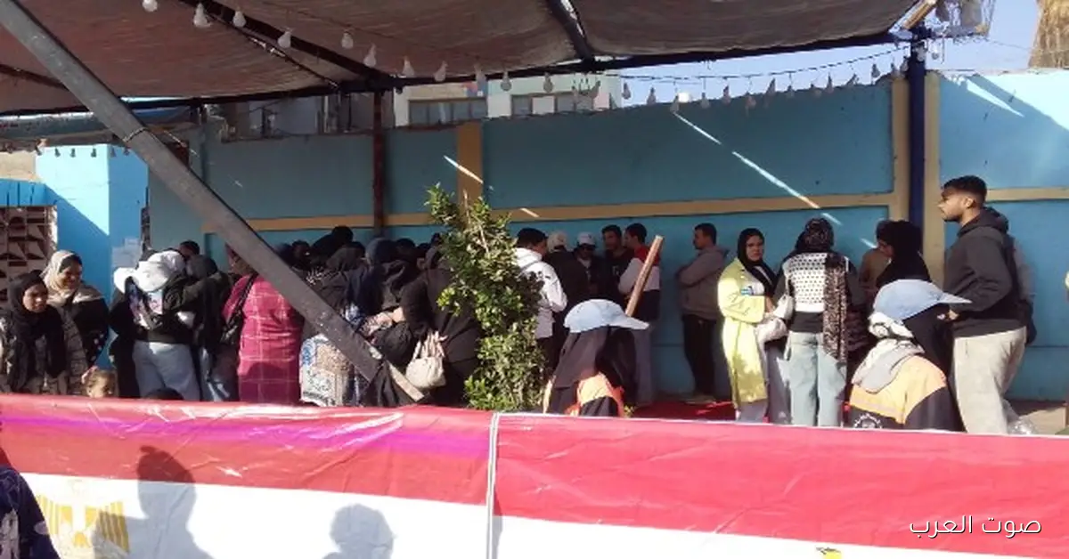 شوفوا.. الناس متجمعين بكثرة في لجان مدرسة الطيار محمد جمال بالمنيل