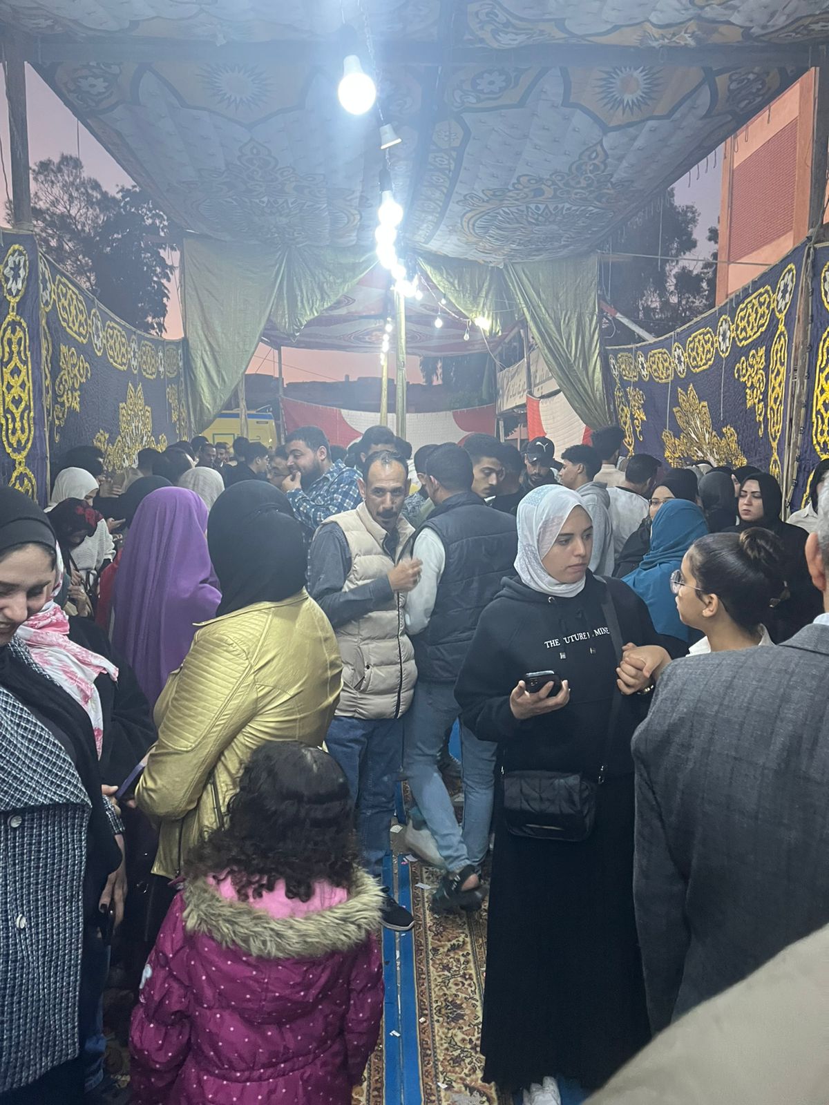 1764085771 2 مئات الناخبين في الشرقية قدام لجان انتخابات النواب 2025