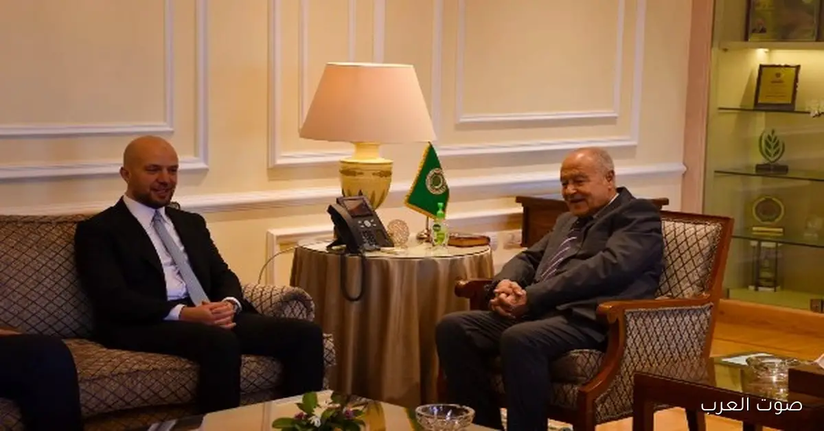 أبو الغيط: توحيد المؤسسات وإجراء الانتخابات في ليبيا مهم جداً